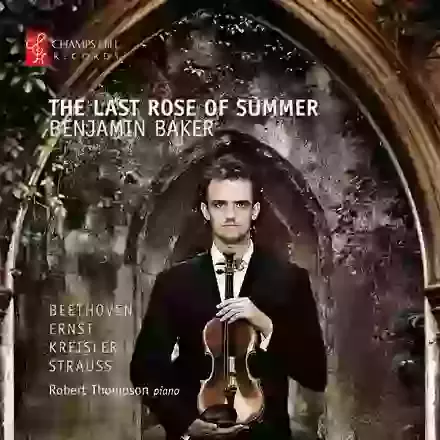 The Last Rose Of Summer